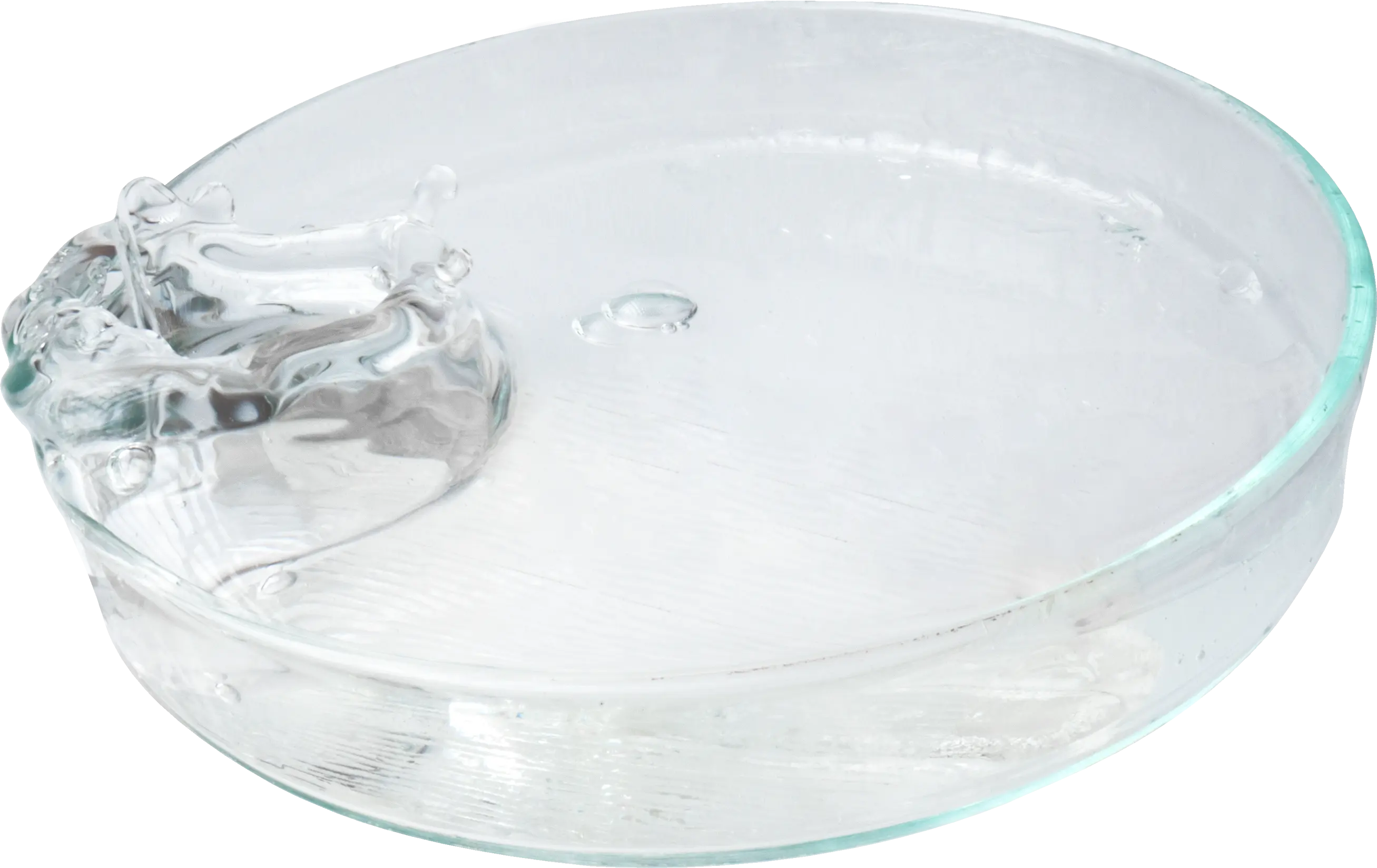 Cleaner PL-1 Concentrado